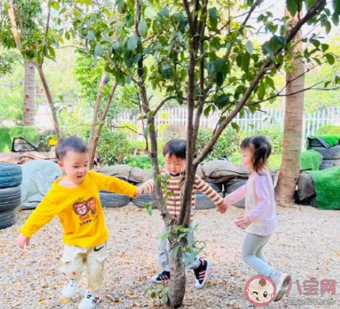 2022幼兒園植樹節創意活動報道美篇 2022幼兒園植樹活動新聞稿大全 2022幼兒園植樹節創意活動報道美篇 2022幼兒園植樹活動新聞稿大全