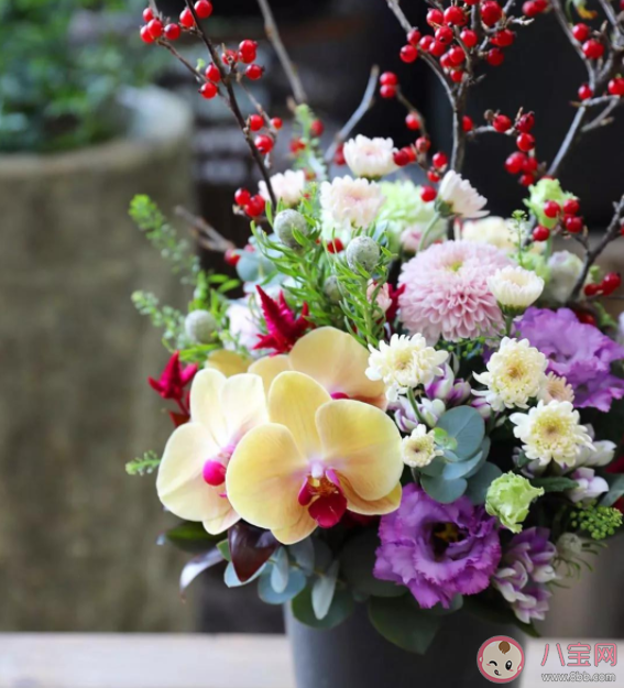 有哪些和花朵有關的溫柔浪漫文案句子 與花有關治愈文案大全 有哪些和花朵有關的溫柔浪漫文案句子 與花有關治愈文案大全