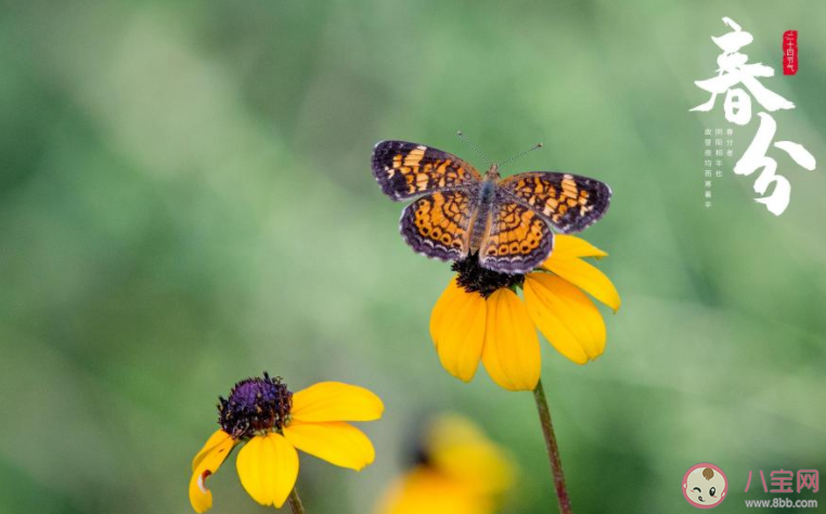 2022春分節(jié)氣圖片精美文案朋友圈說說 2022春分節(jié)氣的圖片帶字文案說說