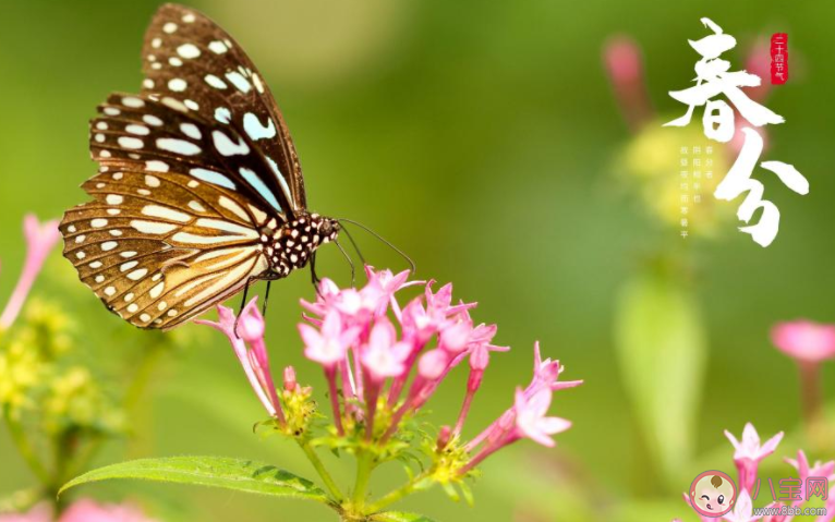 2022春分節(jié)氣圖片精美文案朋友圈說說 2022春分節(jié)氣的圖片帶字文案說說