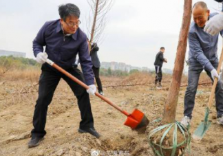 第44個植樹節主題活動報道稿簡報 第44個植樹節植樹造林活動簡訊