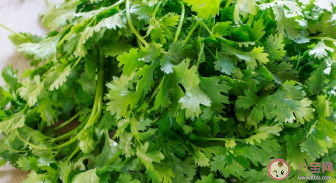 香菜的特殊味道和什么有關 吃香菜有什么好處