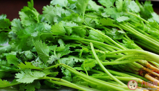 香菜的特殊味道和什么有關 吃香菜有什么好處
