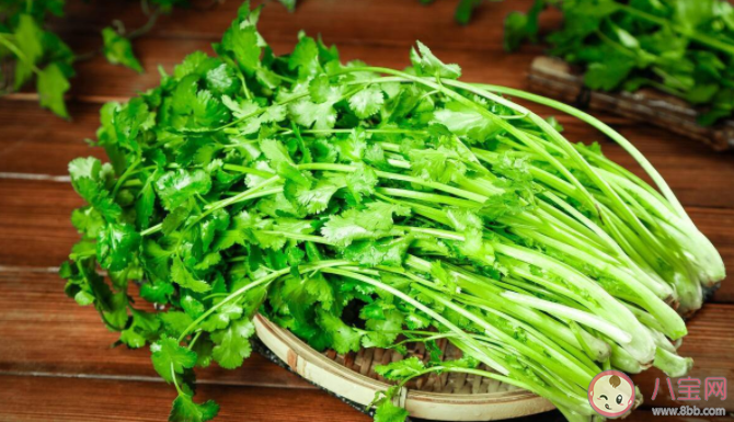 香菜的特殊味道和什么有關 吃香菜有什么好處