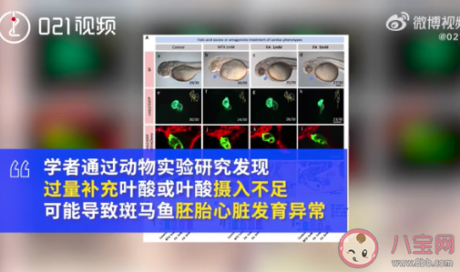 懷孕后應(yīng)該什么時(shí)候開(kāi)始補(bǔ)葉酸 為什么要補(bǔ)充葉酸