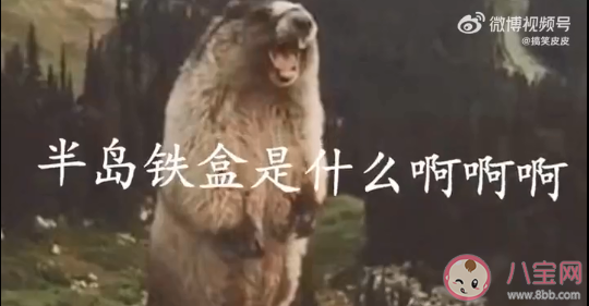 半島鐵盒是什么意思什么梗 半島鐵盒梗出處是哪里