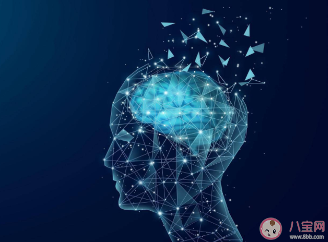 大腦想告訴你的十件事 老年人的智力會下降嗎 大腦想告訴你的十件事 老年人的智力會下降嗎