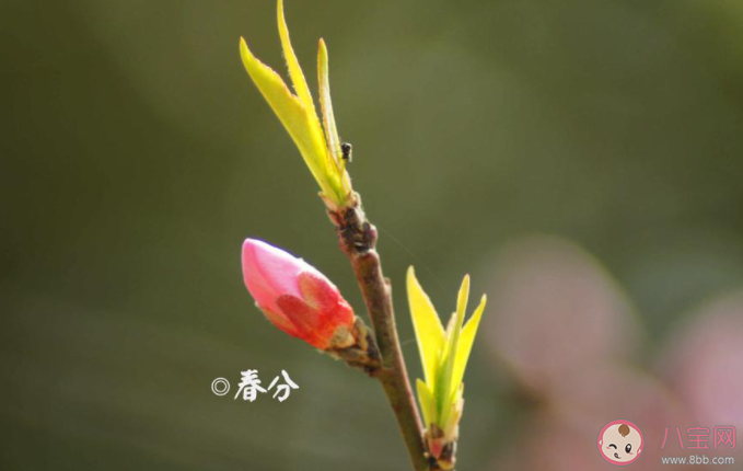 春分節氣夫妻不能同房嗎 還有哪些節氣不宜同房