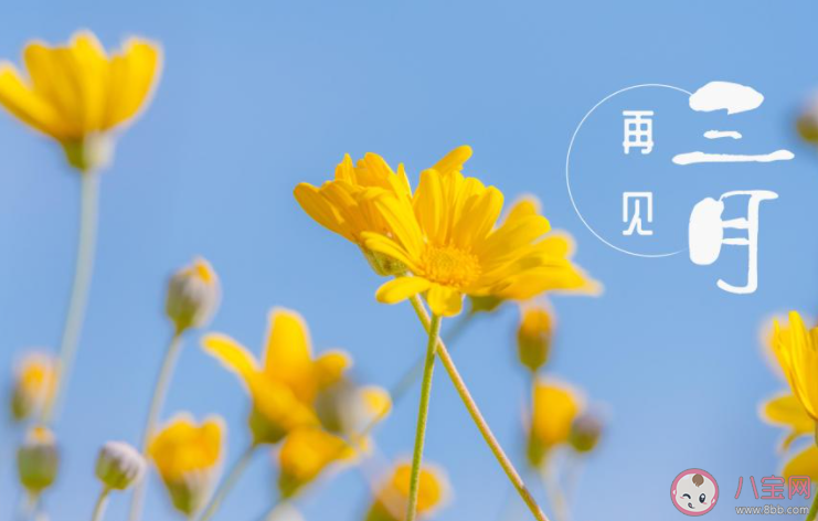 三月結束的心情短語說說 再見三月一句話語錄句子