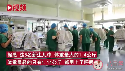 24歲產婦早產1女4男5胞胎 懷多胞胎了要注意些什么 24歲產婦早產1女4男5胞胎 懷多胞胎了要注意些什么