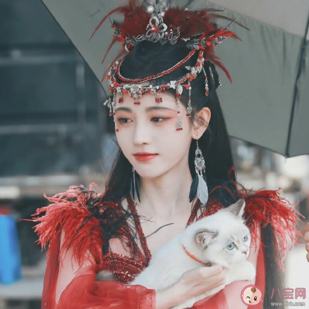 電視劇《花戎》人物關系是怎樣的 《花戎》原著小說是什么 電視劇《花戎》人物關系是怎樣的 《花戎》原著小說是什么