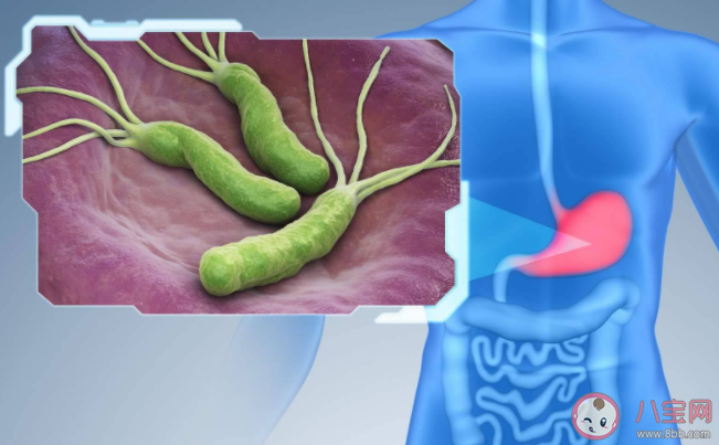 查幽門螺桿菌做呼氣試驗需要空腹嗎 檢查為什么會出現(xiàn)假陰性 查幽門螺桿菌做呼氣試驗需要空腹嗎 檢查為什么會出現(xiàn)假陰性