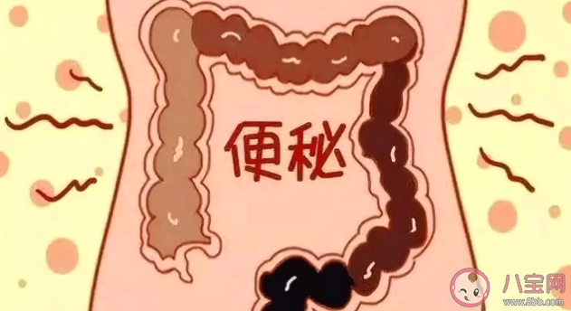 便便拉不出來是什么原因 如何實現拉屎自由