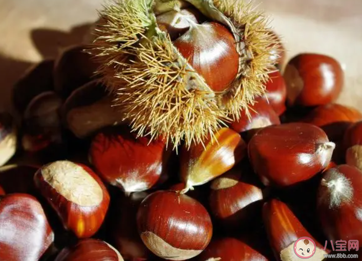 女人多吃板栗會(huì)發(fā)胖嗎 板栗一天最多吃幾個(gè) 女人多吃板栗會(huì)發(fā)胖嗎 板栗一天最多吃幾個(gè)
