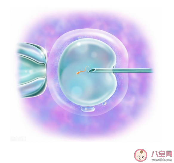 研究稱試管嬰兒成年后更幸福嗎試管嬰兒和幸福生活有因果關系嗎