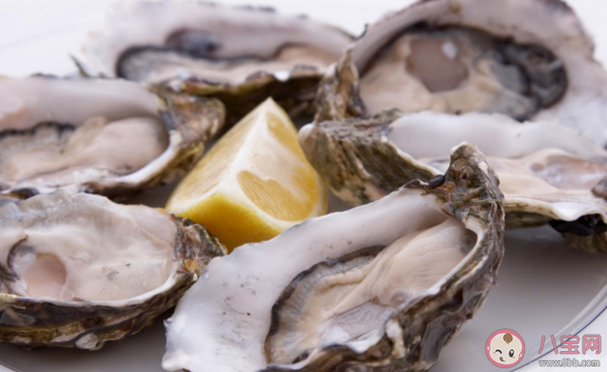 生蠔可以生吃嗎 生蠔生吃有什么危害 生蠔可以生吃嗎 生蠔生吃有什么危害