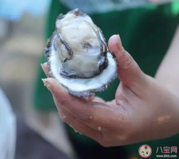 生蠔可以生吃嗎 生蠔生吃有什么危害 生蠔可以生吃嗎 生蠔生吃有什么危害