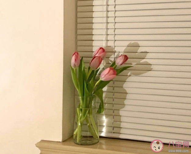 如何判斷一份感情該不該繼續(xù) 怎樣決定堅持還是放棄一頓感情