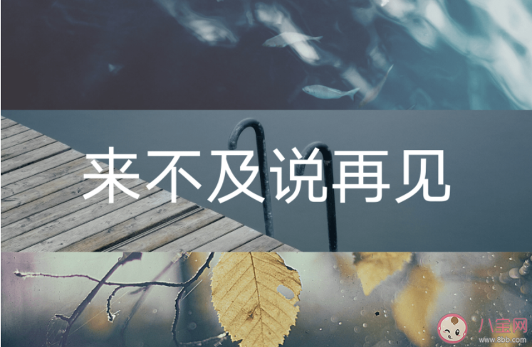 哪一刻你突然覺得青春結(jié)束了 青春結(jié)束的句子文案