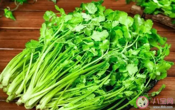 你為什么不喜歡香菜 香菜聞起來是什么味道