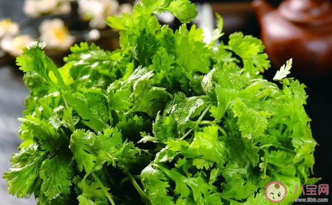 你為什么不喜歡香菜 香菜聞起來是什么味道