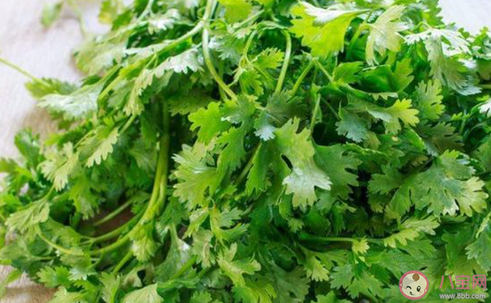 你為什么不喜歡香菜 香菜聞起來是什么味道