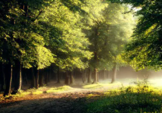 隨遇而安是怎樣的生活體驗 如何看待隨遇而安的生活