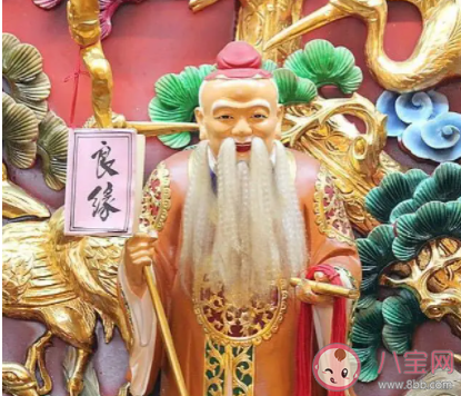 愛不愛他我都是路人甲是什么歌 《月老掉線》完整版歌詞在線聽歌