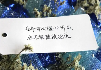 隨波逐流是怎樣的人生感受 生活是該隨波逐流還是堅守自我