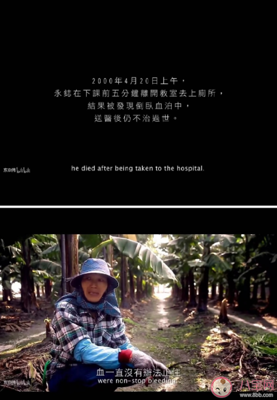 為什么《玫瑰少年》是一首嚴肅的歌 玫瑰少年的原型是誰