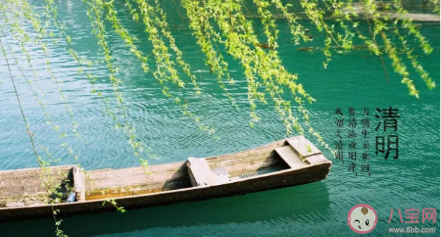 清明節(jié)為什么要插柳 插柳是將柳條插在哪里