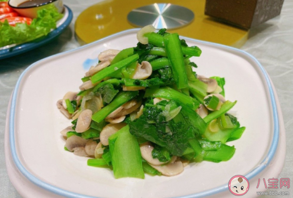 減肥如何防止反彈 減肥成功后要做什么 減肥如何防止反彈 減肥成功后要做什么