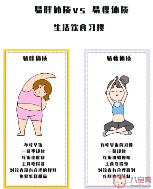 易胖體質是天生的嗎 如何成為易瘦體質 易胖體質是天生的嗎 如何成為易瘦體質