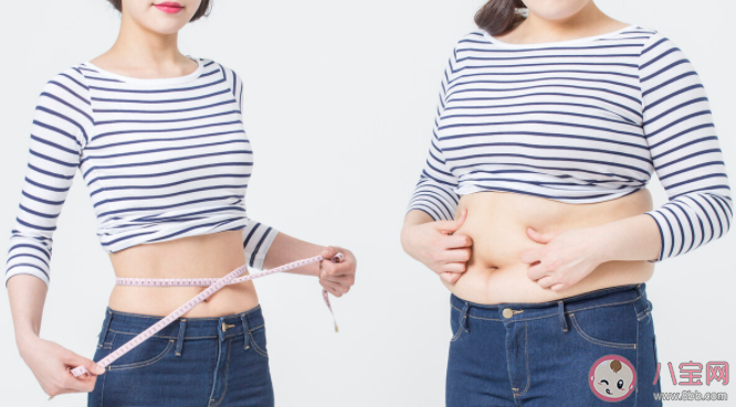 易胖體質是天生的嗎 如何成為易瘦體質 易胖體質是天生的嗎 如何成為易瘦體質