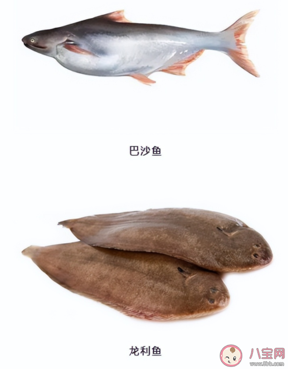 怎么判斷是不是假龍利魚 龍利魚價格為什么要貴一些 怎么判斷是不是假龍利魚 龍利魚價格為什么要貴一些