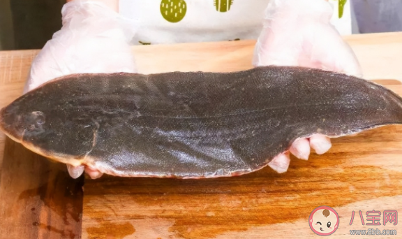 怎么判斷是不是假龍利魚 龍利魚價格為什么要貴一些 怎么判斷是不是假龍利魚 龍利魚價格為什么要貴一些