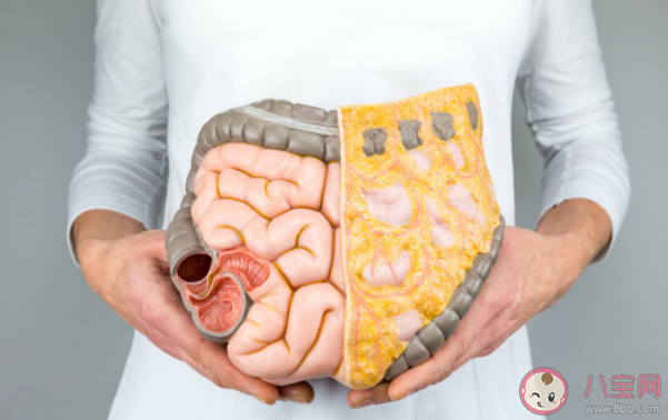 怎么吃會讓腸道越來越堵 腸道健康有多重要 怎么吃會讓腸道越來越堵 腸道健康有多重要