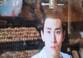 《玉面桃花總相逢》太子是好是壞 太子為什么身體虛弱