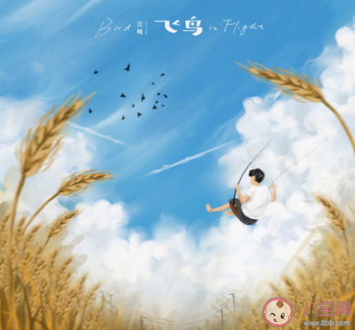 汪峰新歌《飛鳥》歌詞是什么 《飛鳥》完整版歌詞內容