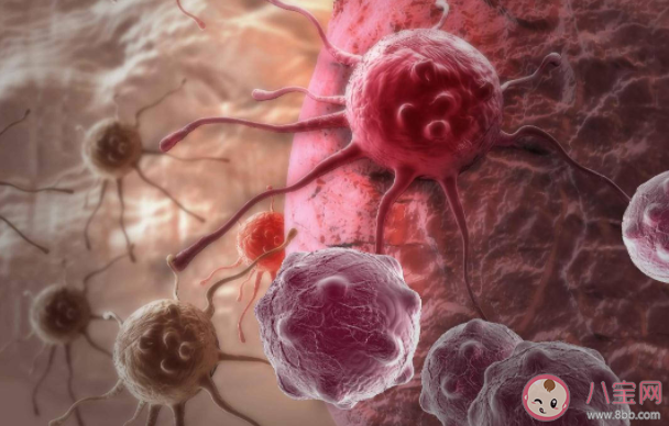 癌癥會傳染嗎 預防癌癥的幾大建議