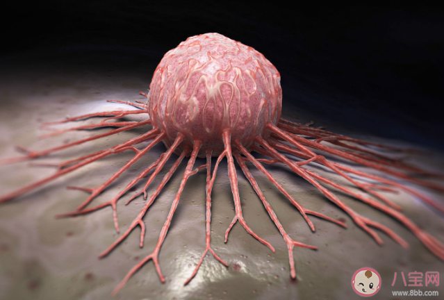 癌癥會傳染嗎 預防癌癥的幾大建議