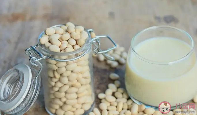 有乳腺疾病還能喝豆漿嗎 常見的乳腺疾病有哪些