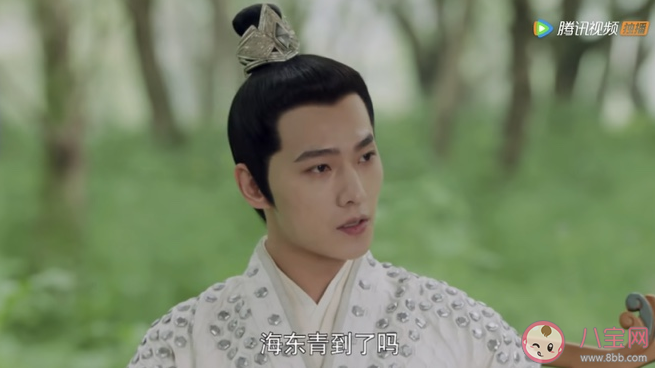 《且試天下》蒼一是什么鳥 豐蘭息養那么多鷹干什么