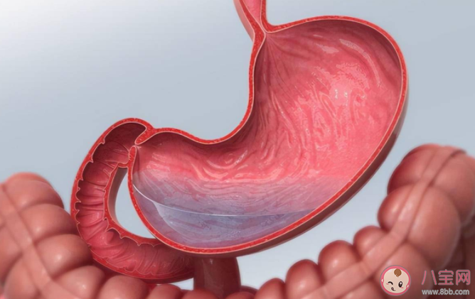 哪些人更易得胃癌 養胃攻略2022 哪些人更易得胃癌 養胃攻略2022