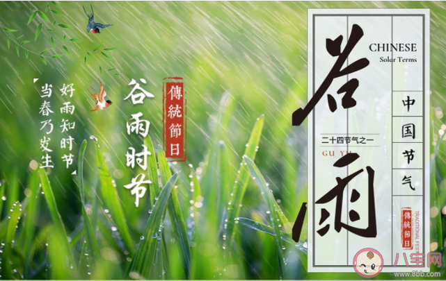 谷雨節(jié)氣由來是什么 谷雨節(jié)氣有哪些習俗