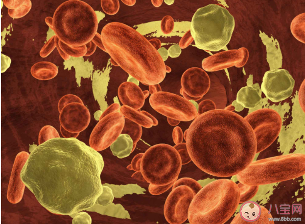 膽固醇與甘油三酯哪個升高更危險 低密度脂蛋白膽固醇的正常范圍是多少