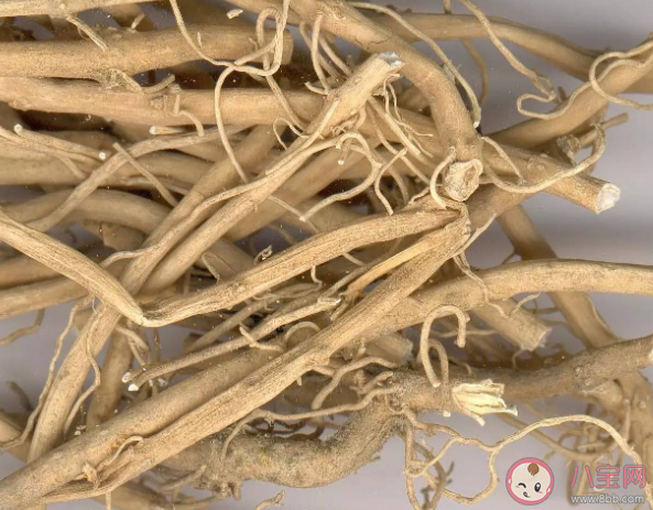 二前湯和杏桃寧兩個方有什么區別 怎么讓孩子咳嗽好得快