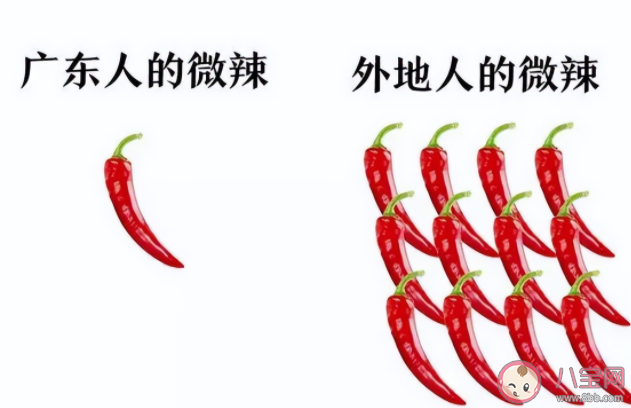 廣東人為什么不喜歡吃辣 廣東人飲食有什么特點(diǎn) 廣東人為什么不喜歡吃辣 廣東人飲食有什么特點(diǎn)