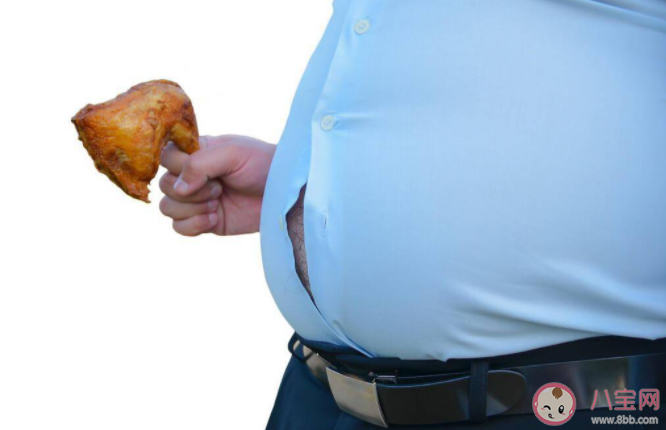 胖人就一定營養(yǎng)過剩嗎 怎樣改變胖卻營養(yǎng)不良的情況