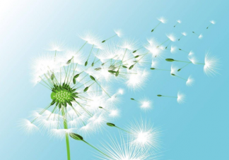 先謀生再謀愛的經典語錄句子 先謀生再謀愛的文案說說大全